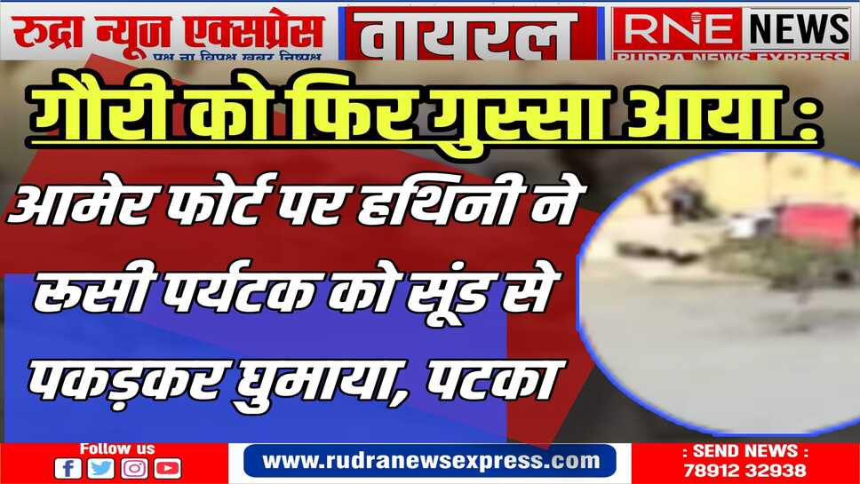 पेटा की मांग : गौरी को सेंचुरी भेजो, हाथी सवारी बंद करो, पहले भी सैलानी को नुकसान पहुंचा चुकी गौरी (देखे वीडियो)