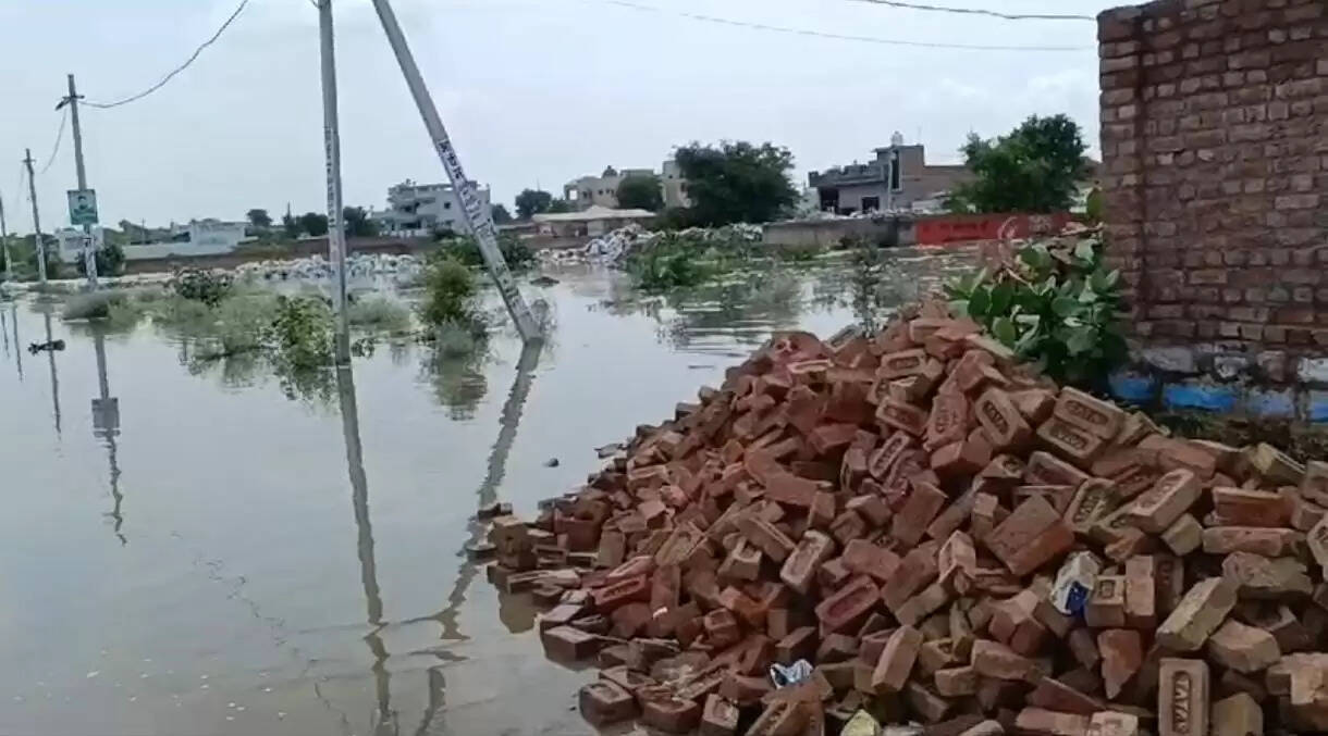 पाल टूटने से बस्ती में भर गया था पानी, उप महापौर पंवार निगम की टीम लेकर पहुंचे