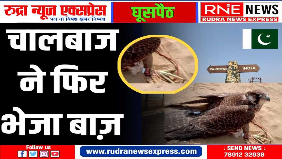 पाकिस्तान की सीमा से उड़कर आया बाज, BSF ने पकड़ा