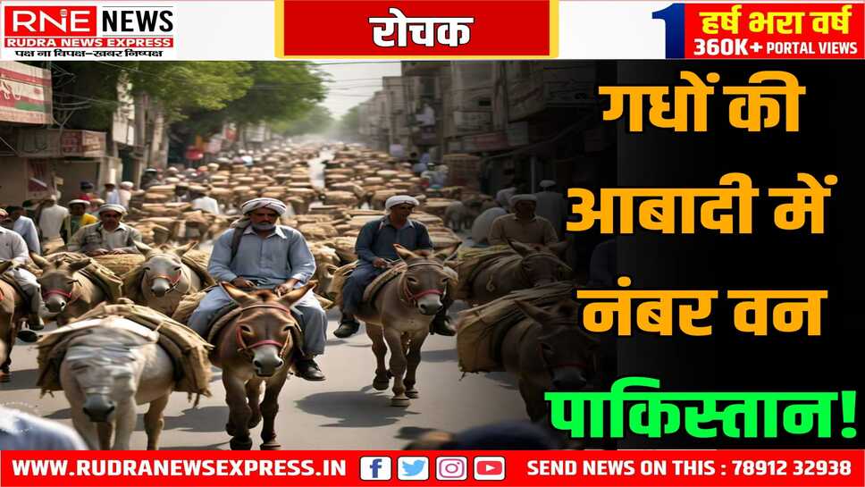 दुनिया में सबसे ज्यादा गधे पाकिस्तान में है, एक साल में एक लाख गधे बढ़ गये