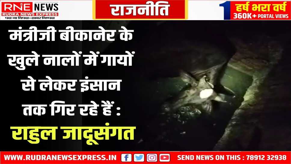 बीकानेर की बदहाली: खुले नालों में गिरते गौवंश और इंसान, प्रशासन मौन - युवा कांग्रेस नेताओं ने ऊर्जा मंत्री से की शिकायत