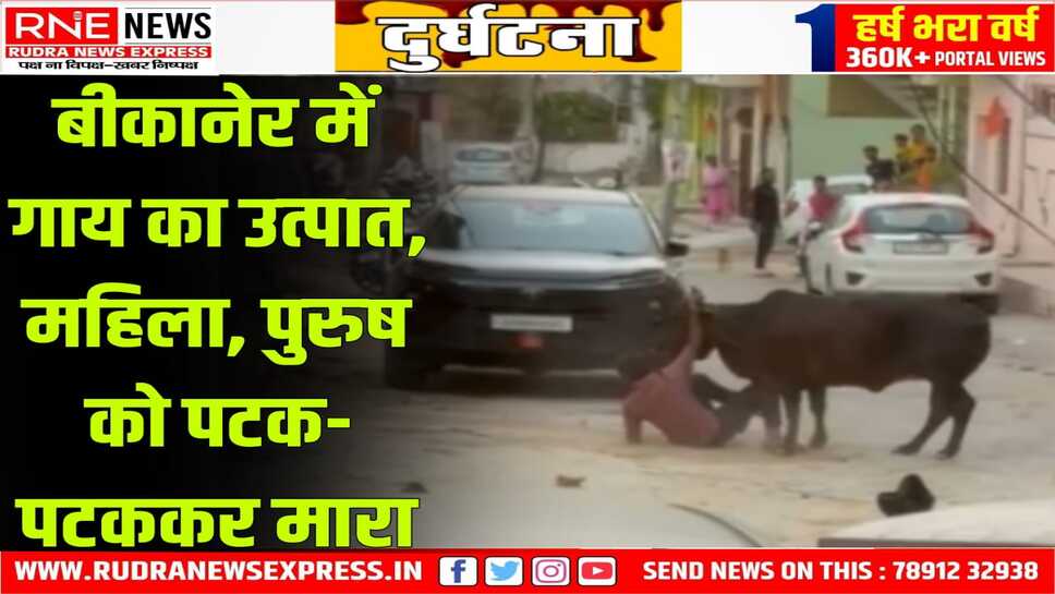 Bikaner : गाय ने बाइक से गिरा महिला को कुचला, छुड़ाने आए सवार को पटक-पटककर मारा