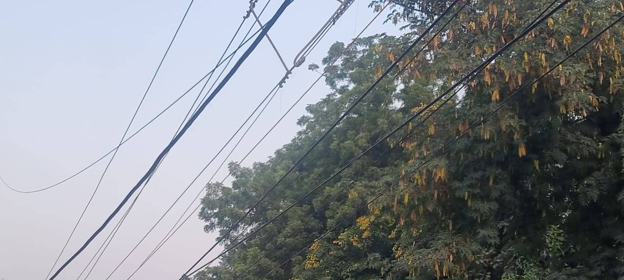 मौसम : सुबह करा रही ठंड का अहसास, उत्तरी हवाएं शुरू होगी अब