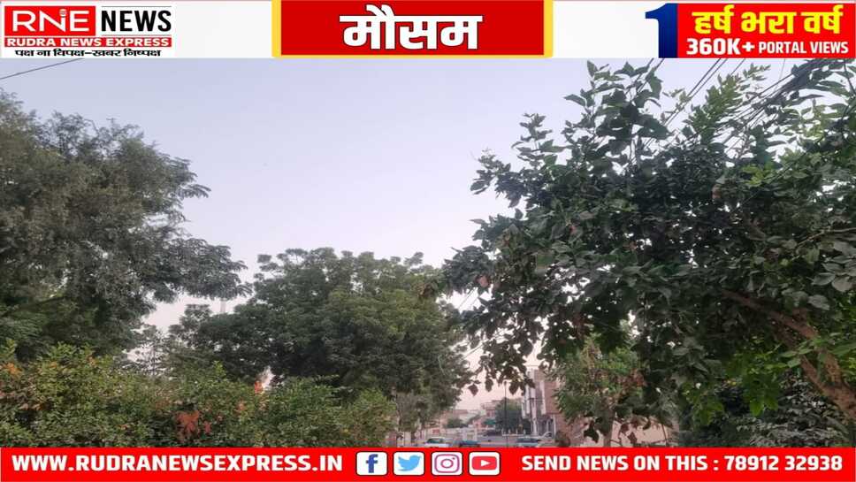 मौसम : ठंडी हवाओं से पारा गिरा, सुबह ज्यादा ठंडी रही, गलन का असर