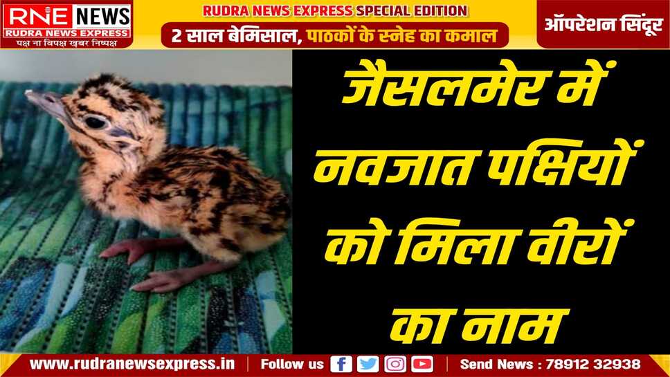 ऑपरेशन के बाद जन्मे 5 गोडावण शिशुओं के नाम सिंदूर पर, देश में सेना के सौर्य को सम्मान को अपने अपने तरीके से सम्मान