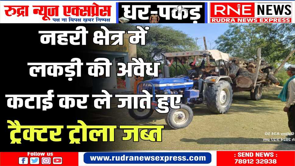वन‌ विभाग टीम द्वारा की गई कार्रवाई में लाखों रुपए कीमती शीशम लकड़ी बरामद