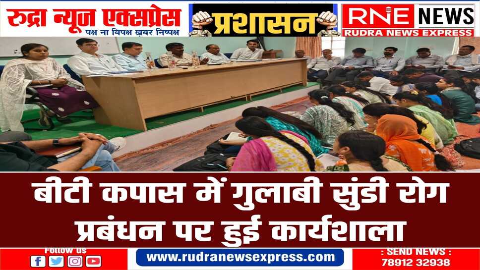 कृषि विभाग ने निरीक्षकों की टीम बनाकर लिए बीटी कपास के 70 नमूने