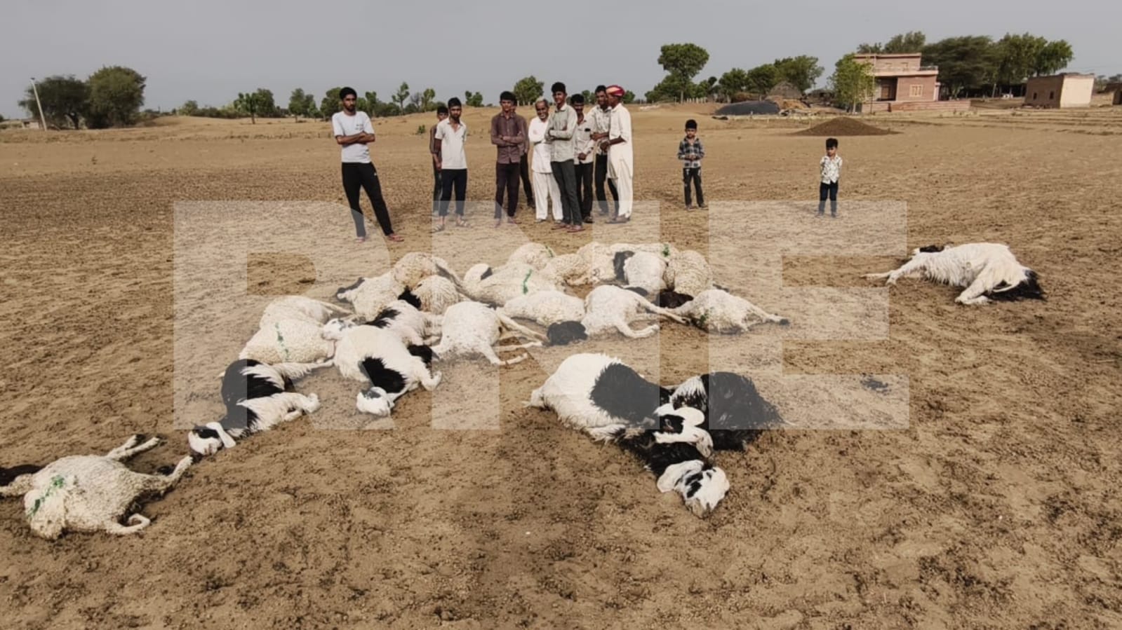 Bikaner Weather : आँधी-बूंदाबांदी के बीच 25 वर्षीय युवक पर बिजली गिरी, मौत