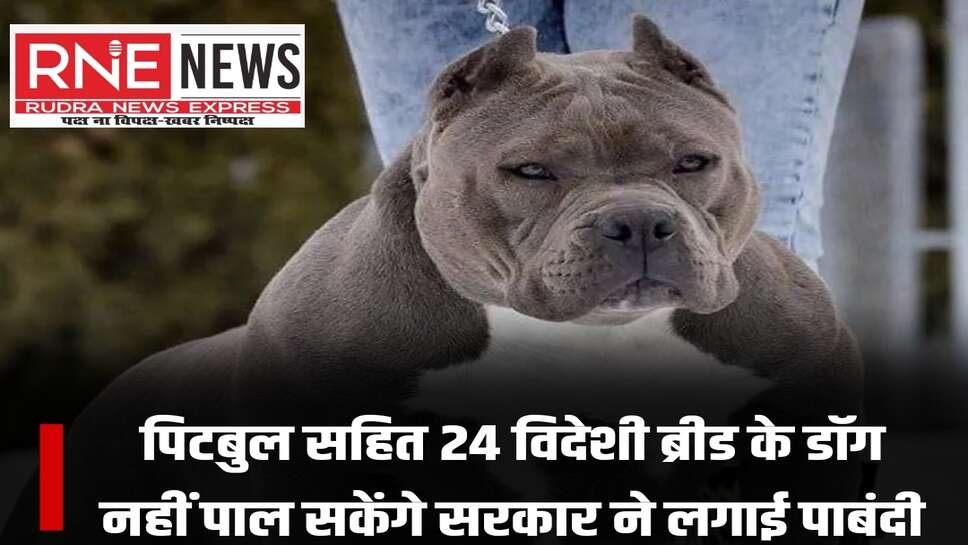 देश में विदेशी ब्रीड वाले डॉग के लगातार बढ़ रहे हमलों को लेकर सरकार सख्त