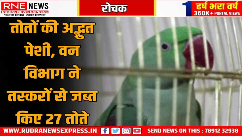 खंडवा की एक अदालत में 27 तोतों की हुई पेशी, वन विभाग ने दो तस्करों से ये तोते जब्त किए थे