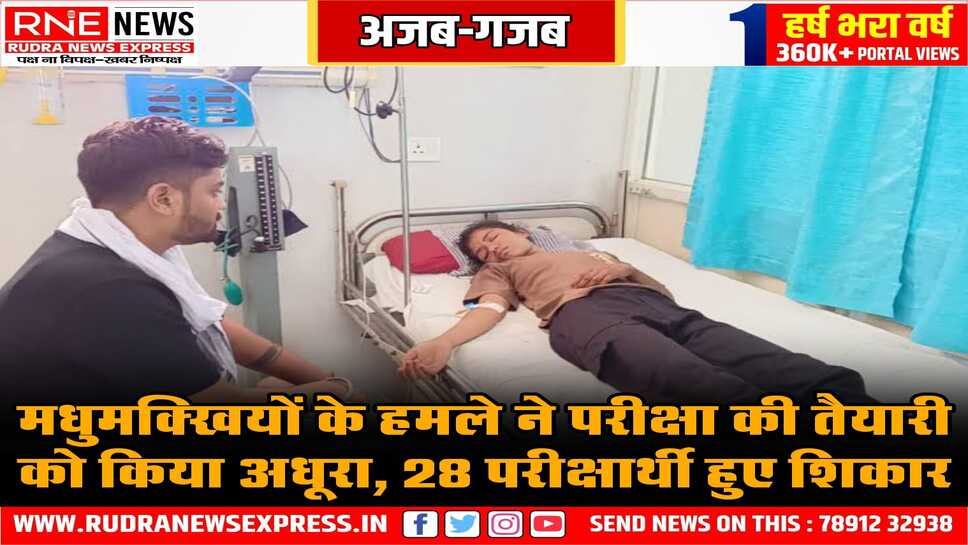 जेल प्रहरी परीक्षा केंद्र पर मधुमक्खियों का हुआ हमला, 28 परीक्षार्थी हो गए मधुमखियों के डंक के शिकार, एक आईसीयू में