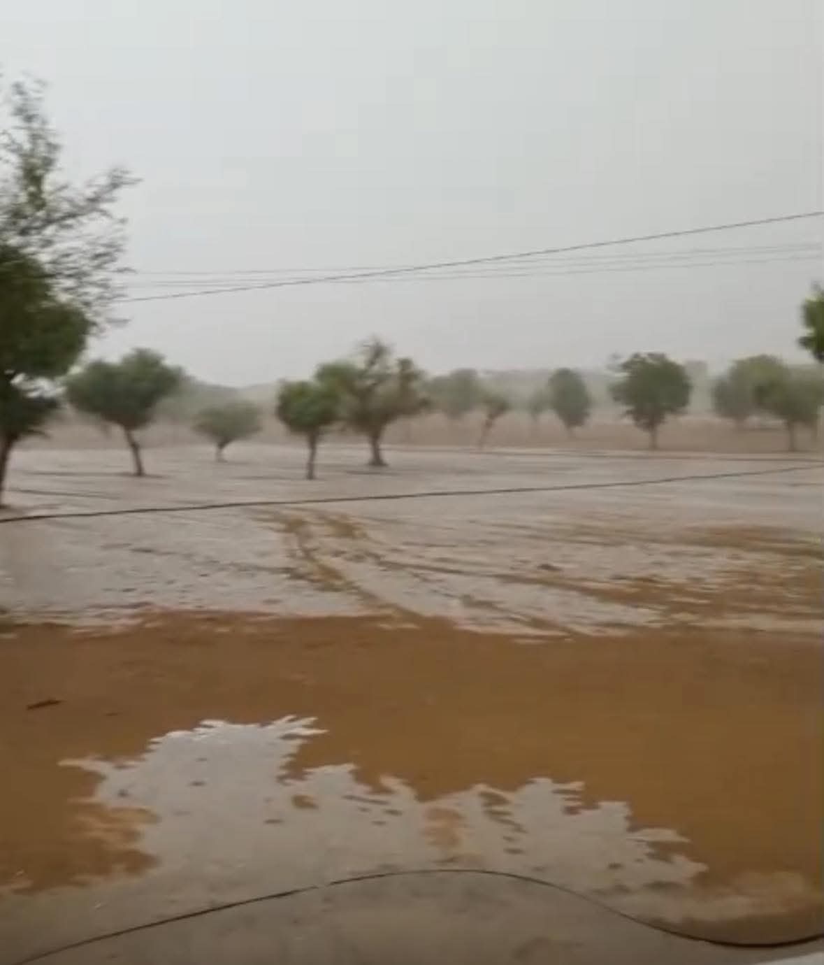 बीकानेर आंधी-बारिश: देश के सबसे गरम हिस्से में मौसम ने पलटा खाया, आंधी-बारिश, ओले