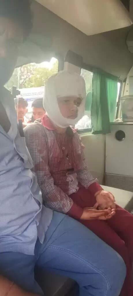 झझू के पास पलटी स्कूल की बस, कई बच्चे चोटिल, गंभीर घायल बीकानेर रैफर
