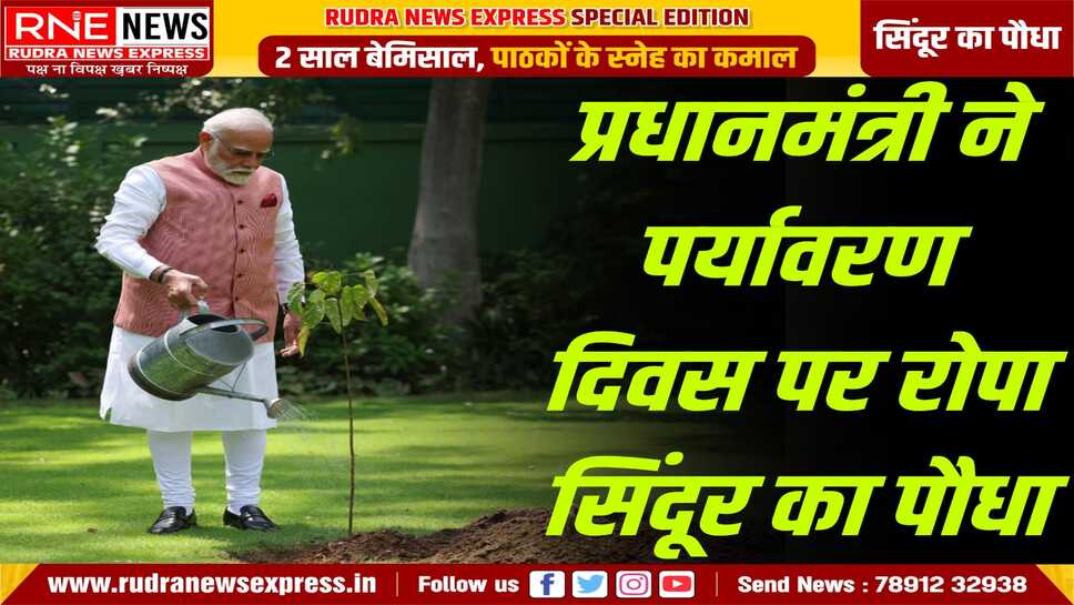 पीएम नरेंद्र मोदी ने सरकारी आवास पर लगाया सिंदूर का पौधा, यह पौधा उन्हें कच्छ दौरे के दौरान महिलाओं के समूह ने दिया था