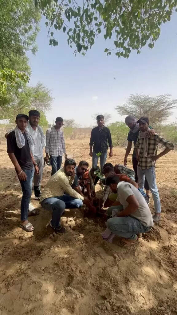 गायों को चारा खिलाया, पक्षियों के लिए पाळसिये बांधे, पौधे लगाए