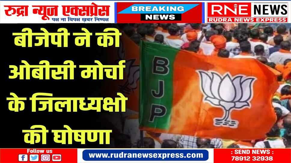 भाजपा ने 20 जिलों में ओबीसी जिलाध्यक्ष नियुक्त किए (देखे लिस्ट)