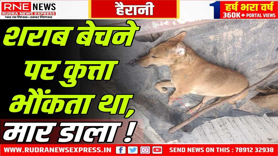 कुत्ते की हत्या : ‘शेरू’ शराब बेचने वालों को पहचानता था, गंध सूंघते ही भौंकने लगता 