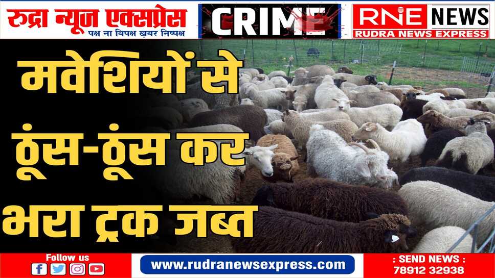 SHRI DUNGARGAH : पशु क्रूरता अधिनियम के तहत मामला दर्ज