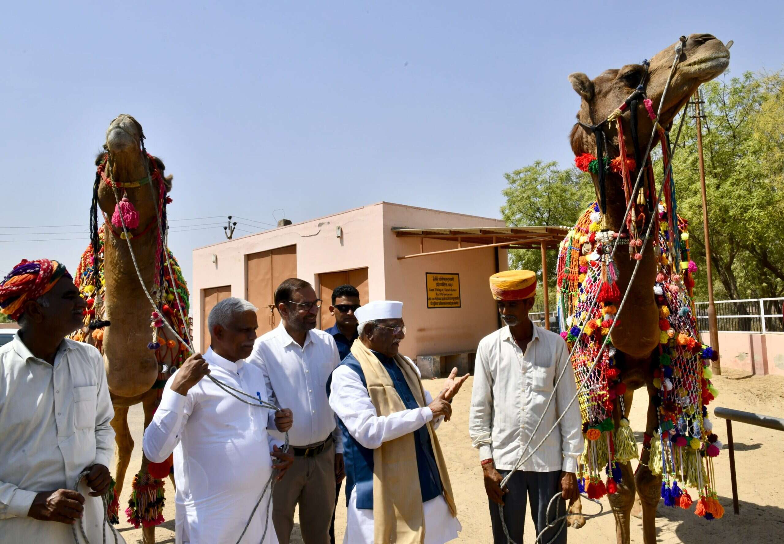 Bikaner: राज्यपाल ने उष्ट्र अनुसंधान केन्द्र का किया अवलोकन, उष्ट्र संरक्षण और अनुसंधान को बताया आवश्यक