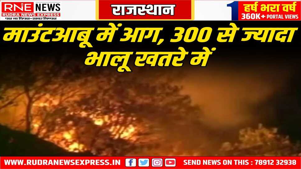 Mount Abu : हजारों पेड़ जले, एक किलोमीटर में फैली आग, 300 भालुओं सहित हजारों जानवरों-पक्षियों पर संकट