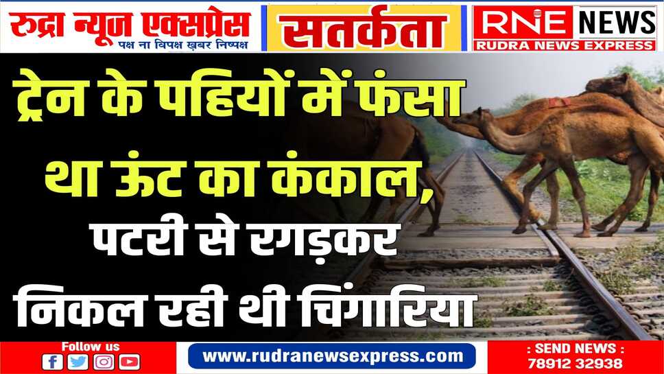 Bikaner Railway Award : सीटीआई बुनकर ने चिंगारियां देखी, ट्रेन रुकवाई और बड़े हादसे से बचा लिया