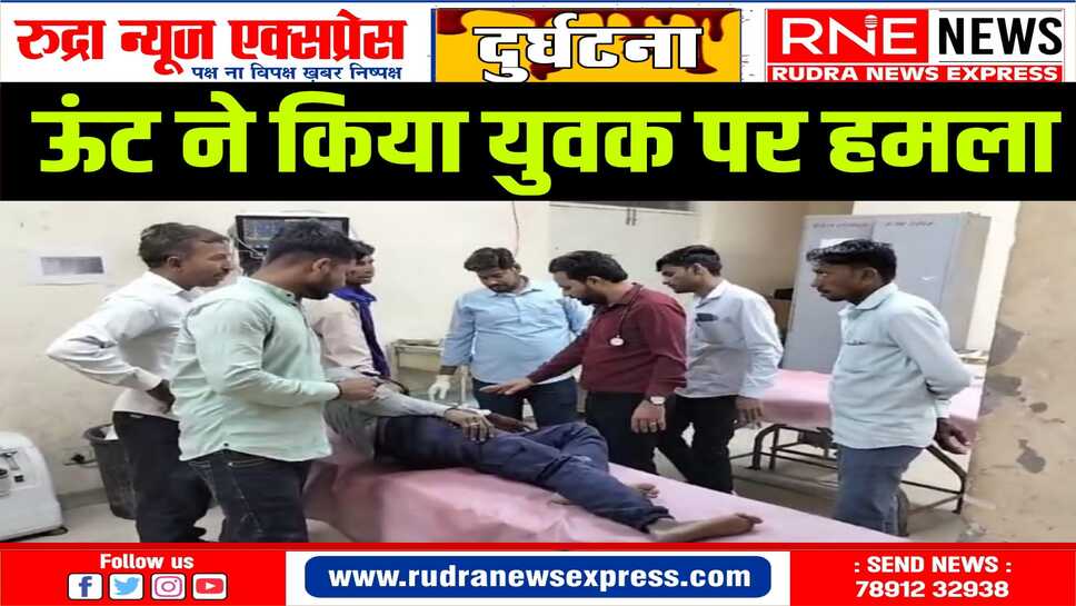 ऊंट को गाड़े से जोड़ते वक्त ऊंट ने मालिक का पकड़ा हाथ, गंभीर घायल