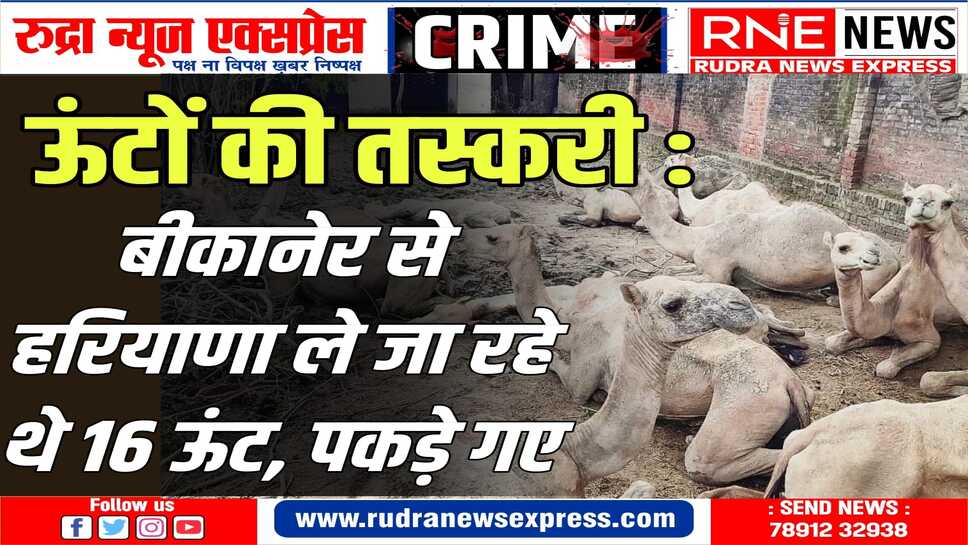 पुलिस ने दो जनों के विरुद्ध ऊंट अधिनियम के तहत मामला दर्ज किया