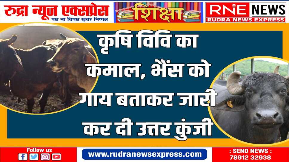 राजस्थान हाईकोर्ट पहुँचा मामला