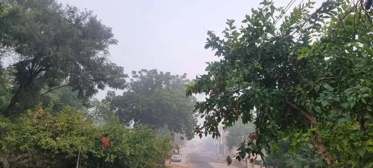 मौसम : हल्की बूंदाबांदी व कोहरे से दिन शुरू, कड़ाके की ठंड
