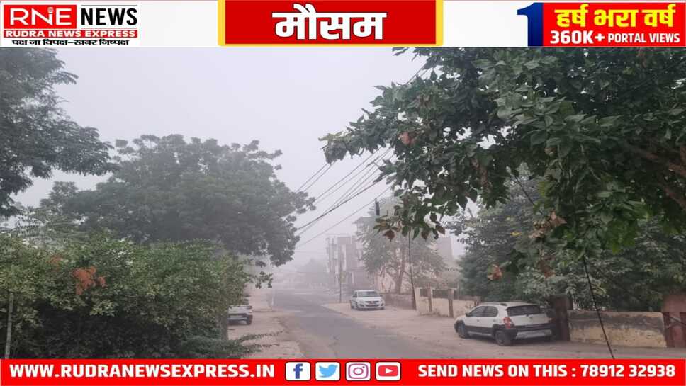 मौसम : रात से सुबह तक कोहरे की चादर, ठंडी हवाओं का जोर