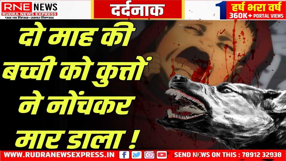 बीकानेर: पिता मजदूरी पर, बेटी को झूले में सुला मां दूध लेने गई, पीछे से कुत्तों ने बेटी को नोंच डाला