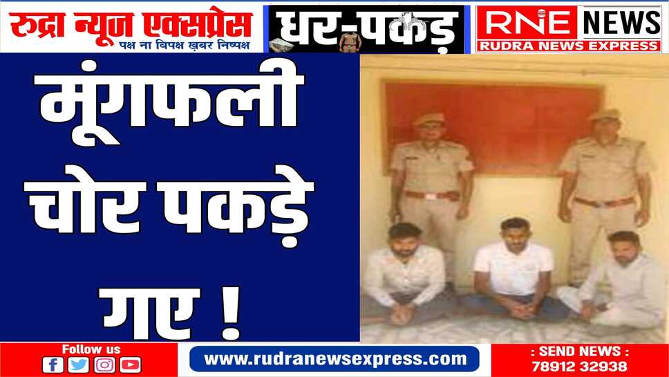 लाखों रुपए का मूंगफली गोटा चोरी करने के तीन आरोपी गिरफ्तार