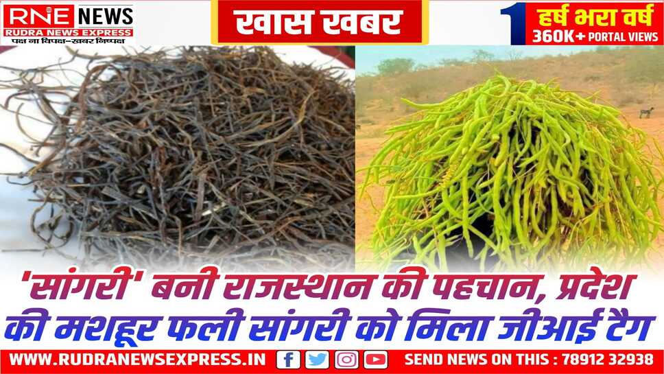 मशहूर फली सांगरी को GI Tag, राजस्थान को मिल चुके है अब तक इतने जीआई टैग