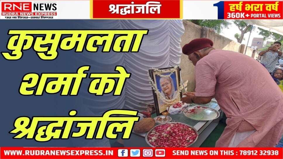 मां का मार्गदर्शन वरदान : देवीसिंह भाटी