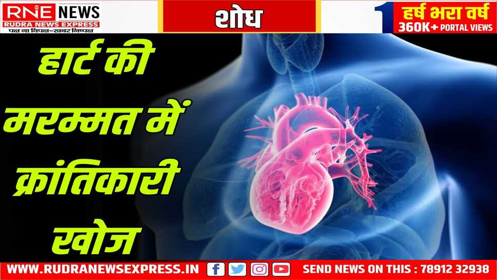 दिल के मरीजों के स्वस्थ होने की बढ़ी उम्मीद, शोध हुआ, मछली के प्रोटीन से सक्रिय होंगे जीन