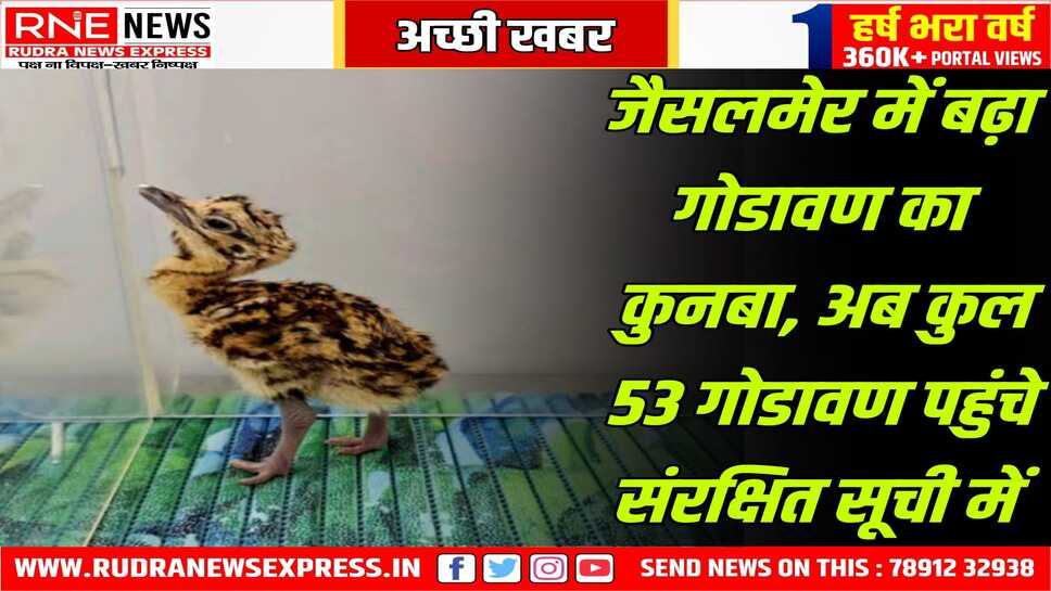 गोडावण का बढ़ा कुनबा, एक और नन्हे चूजे ने लिया है जन्म, दुर्लभ पक्षी है गोडावण, तकनीकी स्तर पर कुनबा बढ़ाने के हो रहे प्रयास