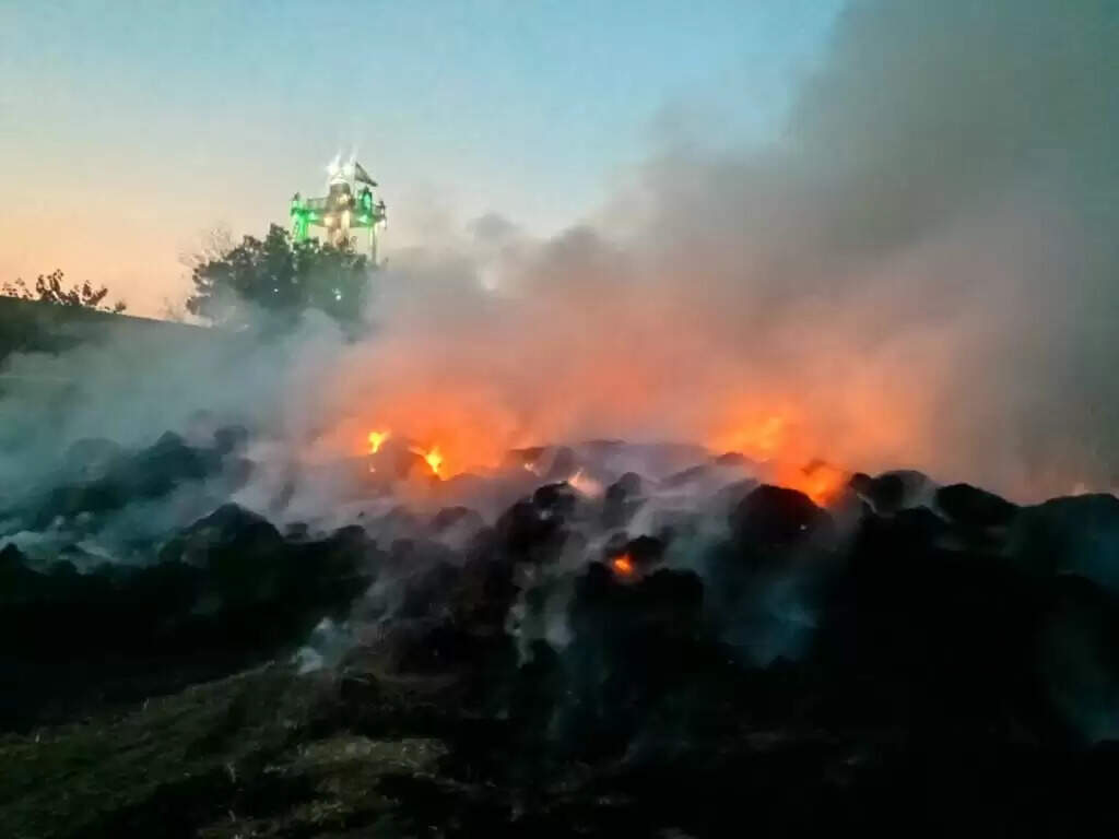 पलाना की श्रीकृष्ण गौशाला: 10 ट्रकों में लाई 900 क्विंटल पराली जलकर राख