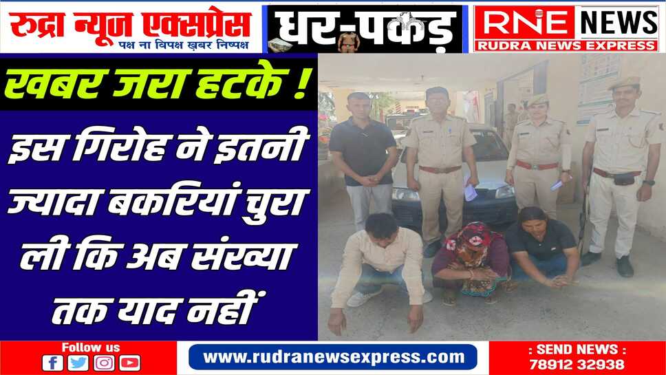 चोरी का तरीका: कार से उतर महिला लघुशंका के लिए बैठती तो बकरी चराने वाला दूर चला जाता है, पुरूष चारा दिखा बकरी उठा लेता