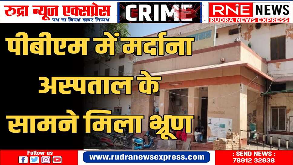 मर्दाना अस्पताल गेट के बाहर ठेलों के पास मिला भ्रूण