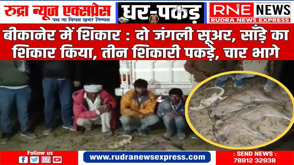 खाजूवाला इलाके का मामला : जाल-कुत्तों से शिकार, पिकअप गाड़ी सहित तीन कुत्ते बरामद