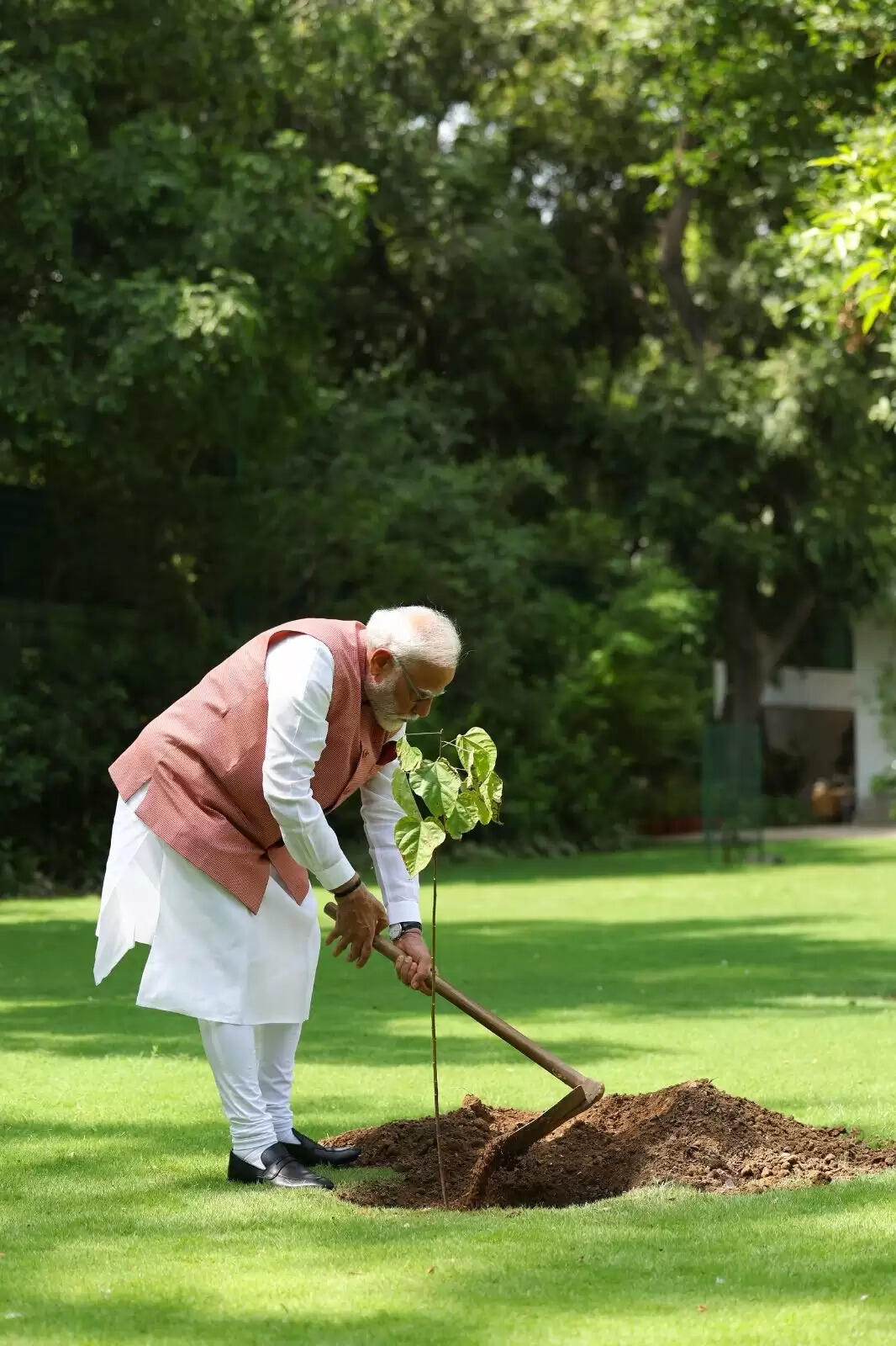 पीएम नरेंद्र मोदी ने सरकारी आवास पर लगाया सिंदूर का पौधा, यह पौधा उन्हें कच्छ दौरे के दौरान महिलाओं के समूह ने दिया था