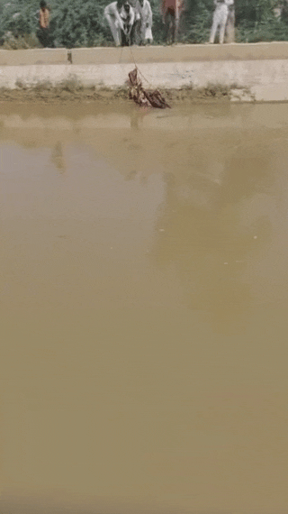 प्रेम में आत्महत्या या हत्या? शरीफा गायें, विनोद भेड़ें चराता, दोनों के बंधे शव नहर में मिले