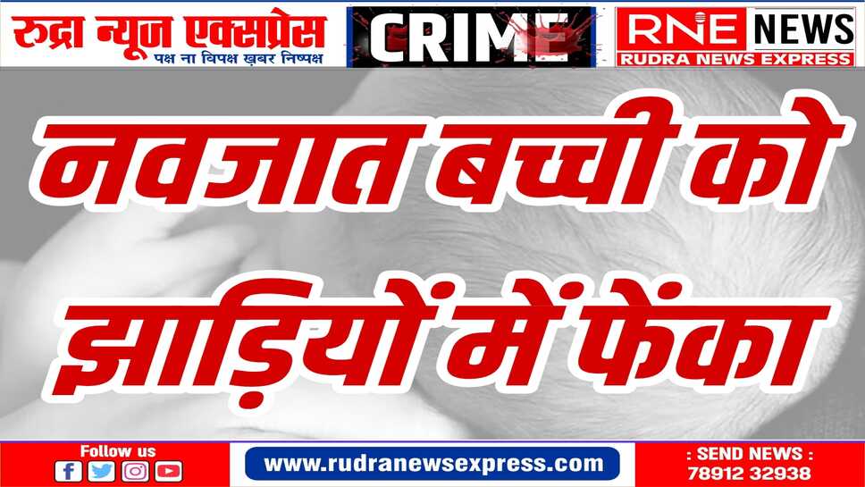 झाड़ियों में कुत्तों का झुंड देख हुआ संदेह