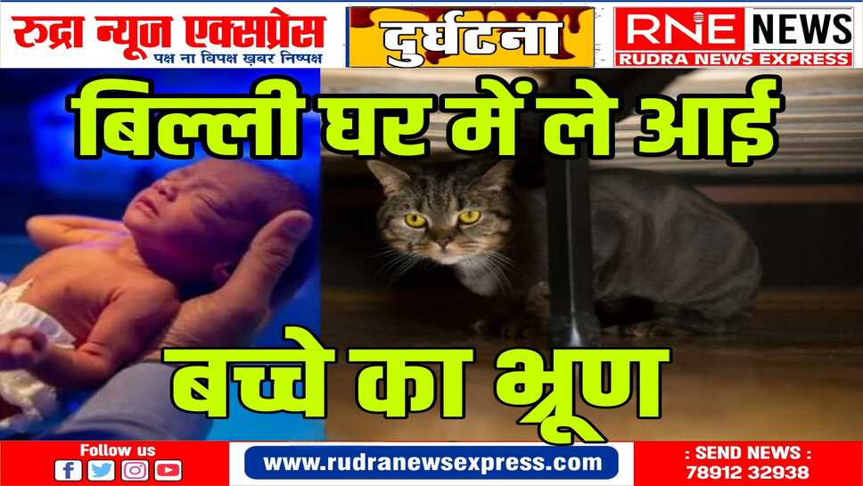 कालू पुलिस ने भ्रूण को मोर्चरी में रखवाया