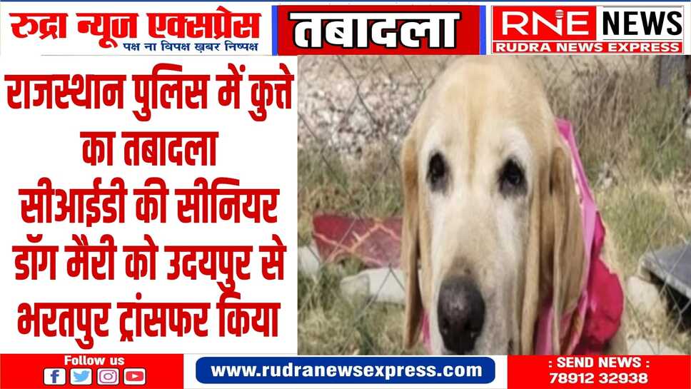 आठ साल की मेरी डॉग का पहला ट्रांसफर, पुलिसकर्मियों ने दी विदाई