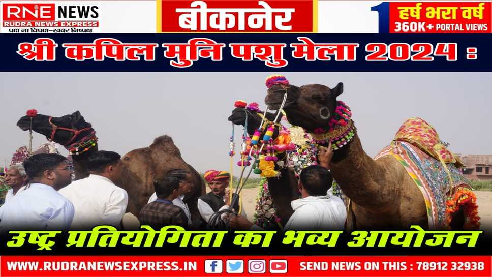 Kolayat Camel Competetion : नस्ल में जगदीश का ऊंट टॉप, शृंगार रामलाल के ऊंट का सुहाया, नाचने में मौज अली का ऊंट नंबर-वन