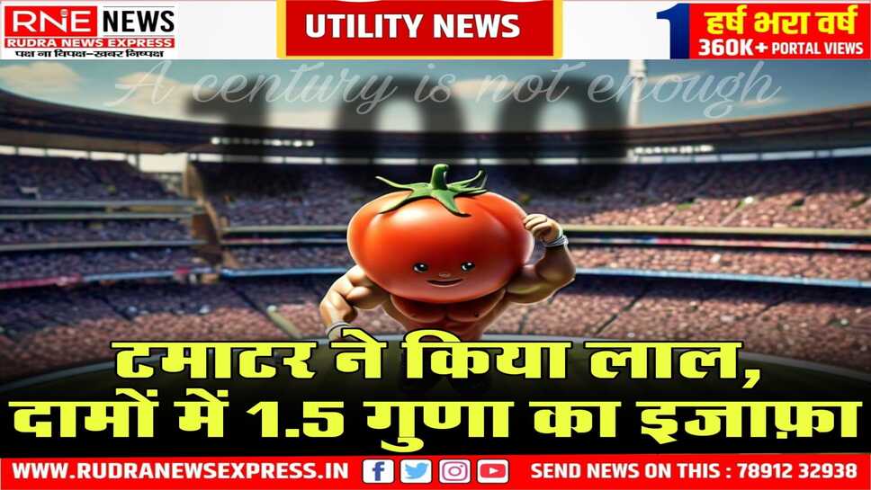 40 रुपये से 100 रुपये किलो भाव, 15 दिन में कम हो सकती है कीमत