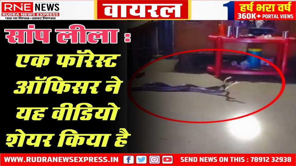 इमरजेंसी कॉल पर गई रेस्क्यू टीम बेडरूम में ‘सांपलीला’ देख हैरान रह गई