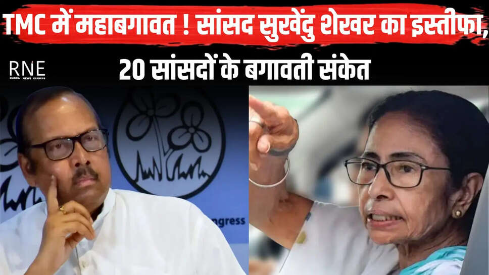 Mamata banerjee 
