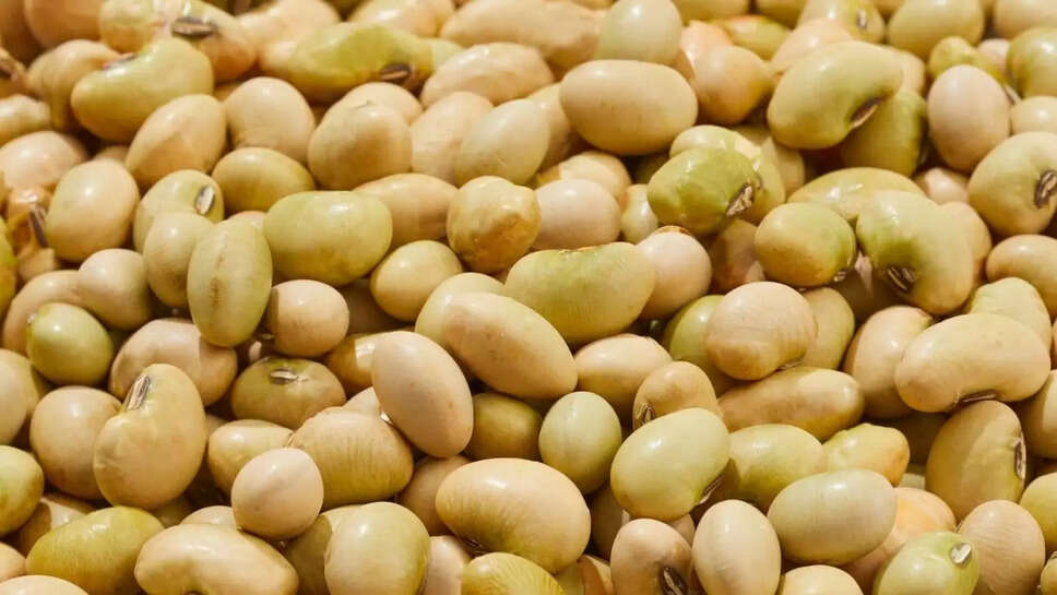 Market Price  खाद्य तेल का उत्पादन रिकार्ड स्तर पर पहुंचा, देश में 4.50 लाख बोरी सोयाबीन की आवक